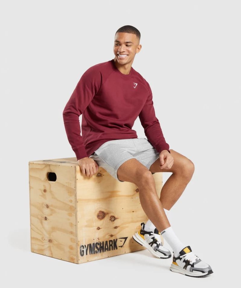 Gymshark Crest Tröjor Herr Vinröda | SE-24530A