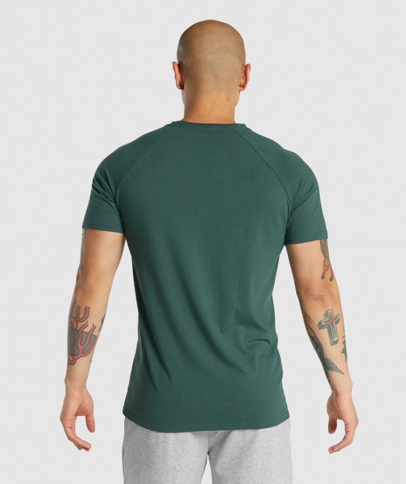 Gymshark Critical 2.0 T-shirt Herr Mörkgröna | SE-63091E