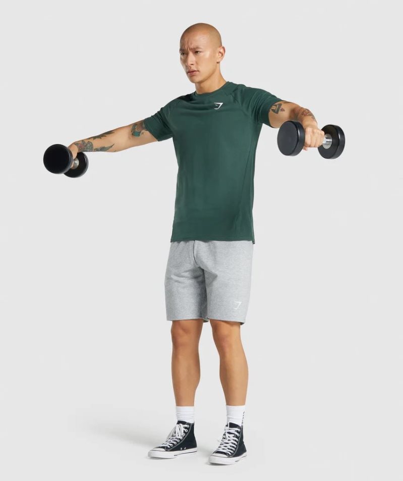 Gymshark Critical 2.0 T-shirt Herr Mörkgröna | SE-63091E