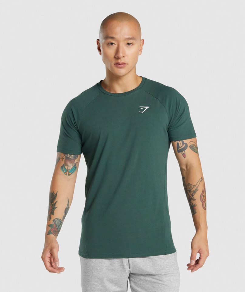 Gymshark Critical 2.0 T-shirt Herr Mörkgröna | SE-63091E