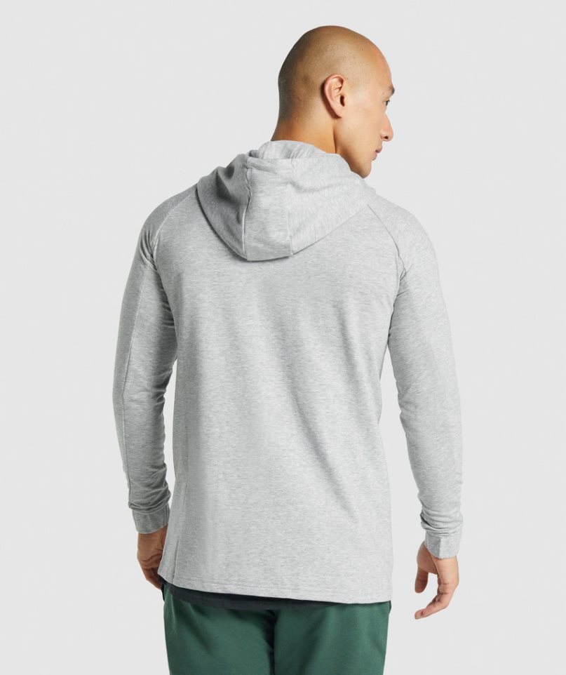 Gymshark Critical 2.0 Zip Up Hoodie Herr Ljusgrå | SE-50817F