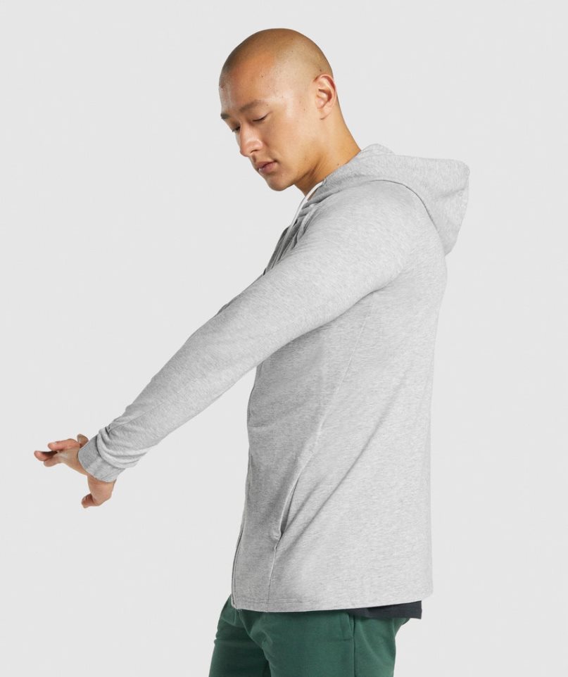 Gymshark Critical 2.0 Zip Up Hoodie Herr Ljusgrå | SE-50817F