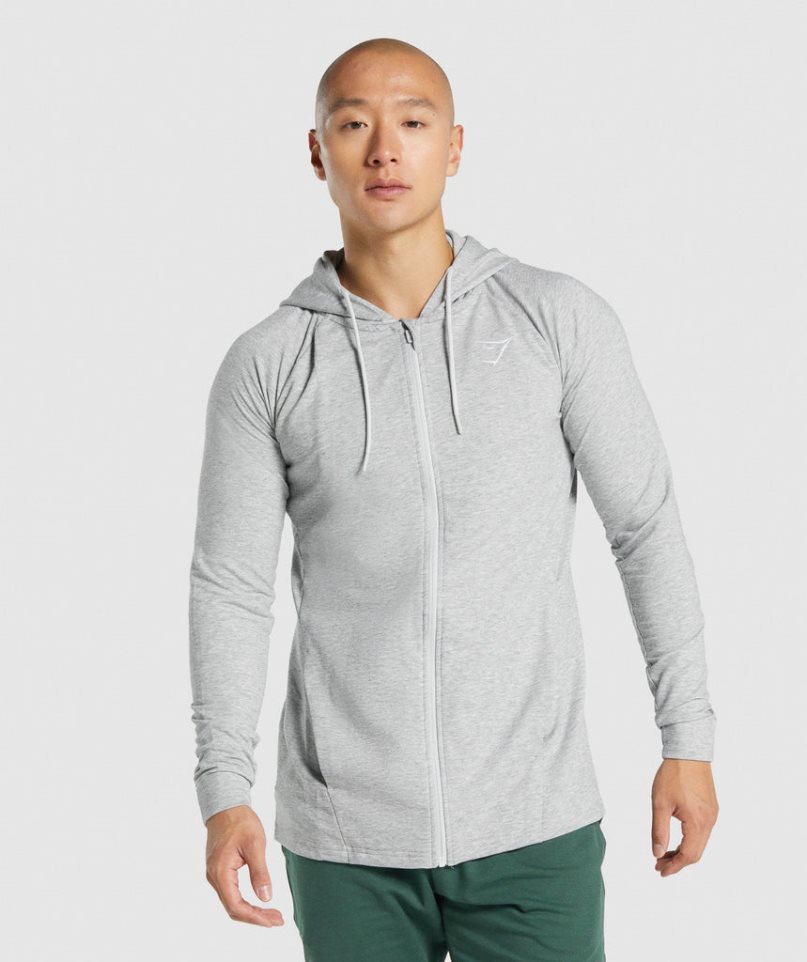 Gymshark Critical 2.0 Zip Up Hoodie Herr Ljusgrå | SE-50817F