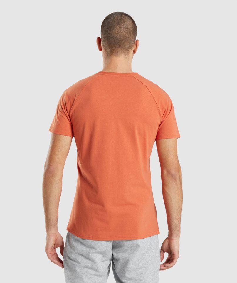 Gymshark Critical T-shirt Herr Orange | SE-75203K