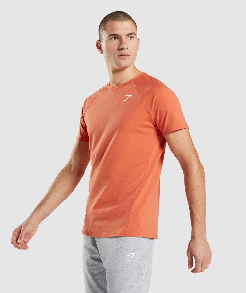 Gymshark Critical T-shirt Herr Orange | SE-75203K