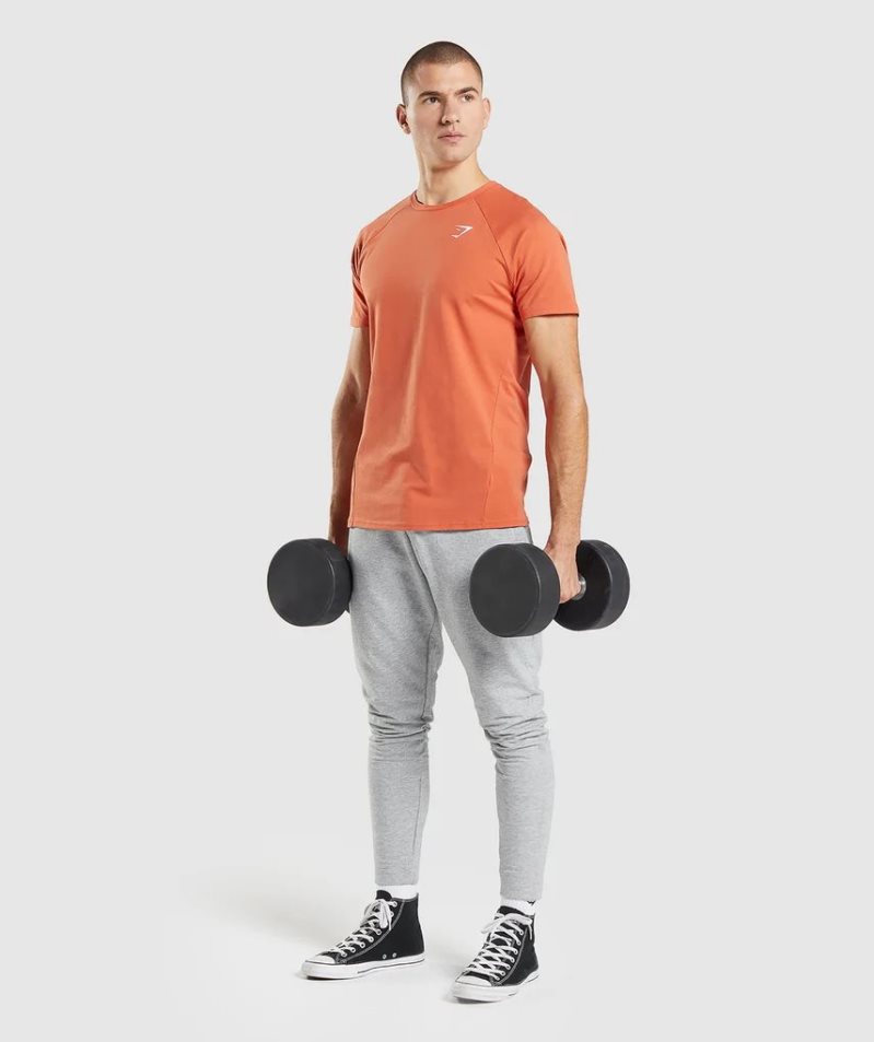 Gymshark Critical T-shirt Herr Orange | SE-75203K