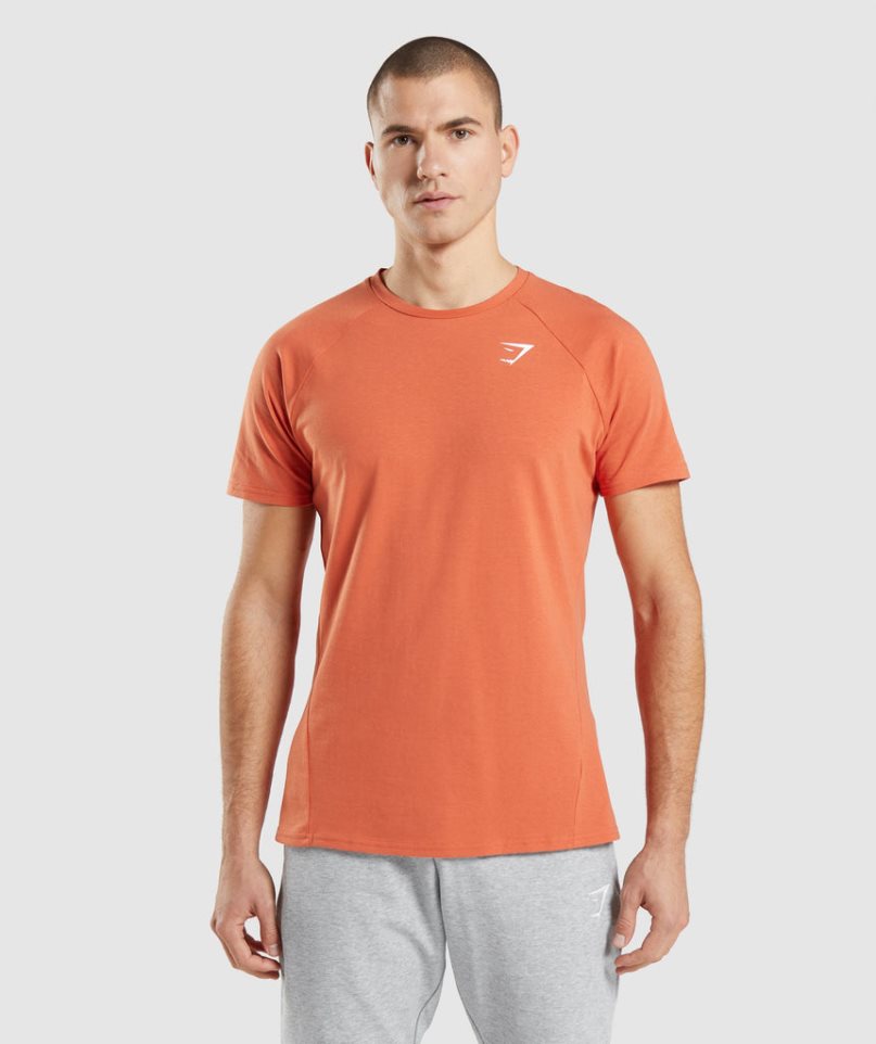 Gymshark Critical T-shirt Herr Orange | SE-75203K