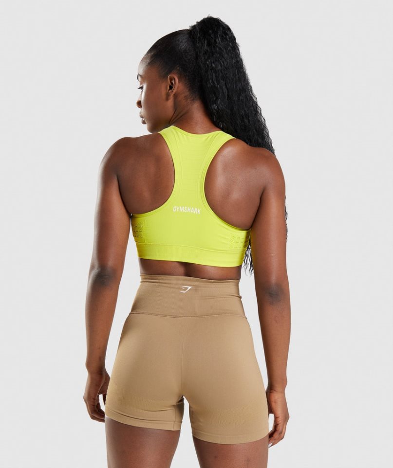 Gymshark Energy Seamless Sport Bh Dam Gula | SE-18972K