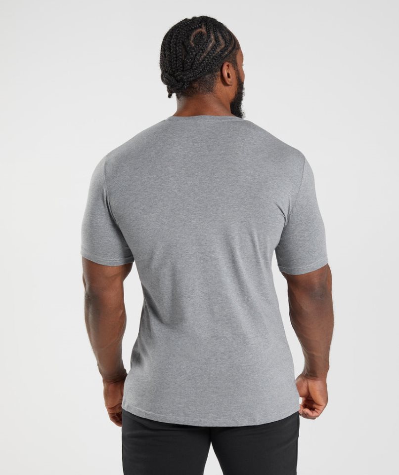 Gymshark Essential T-shirt Herr Grå | SE-69258E