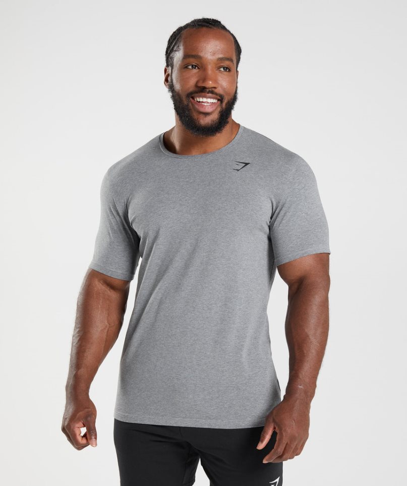 Gymshark Essential T-shirt Herr Grå | SE-69258E