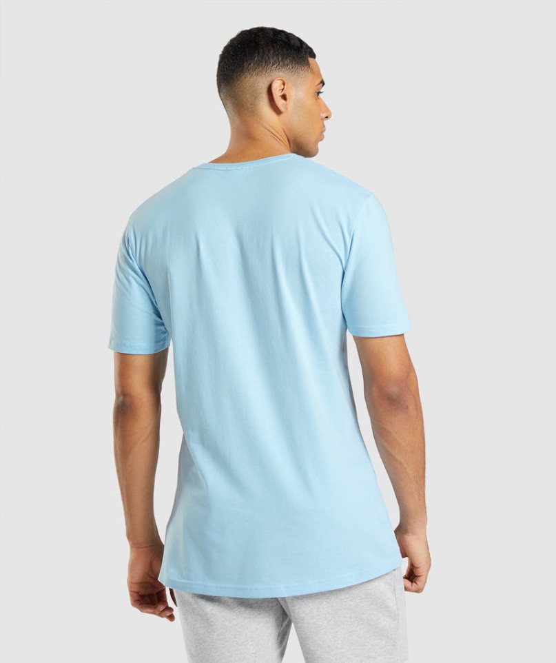 Gymshark Essential T-shirt Herr Ljusblå | SE-49835L