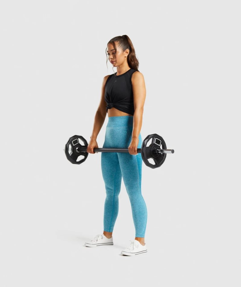 Gymshark Flex High Waisted Leggings Dam Blå | SE-21935I