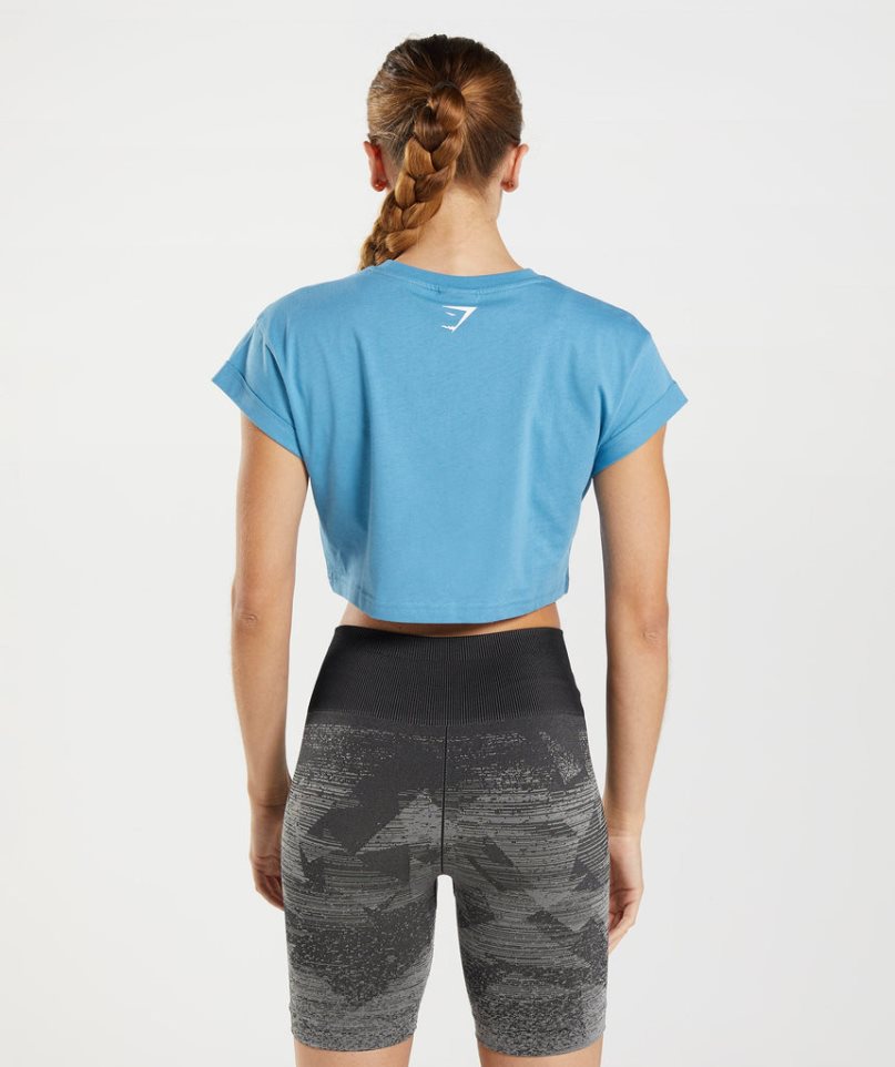 Gymshark Fraction Beskurna Toppar Dam Blå | SE-04623W