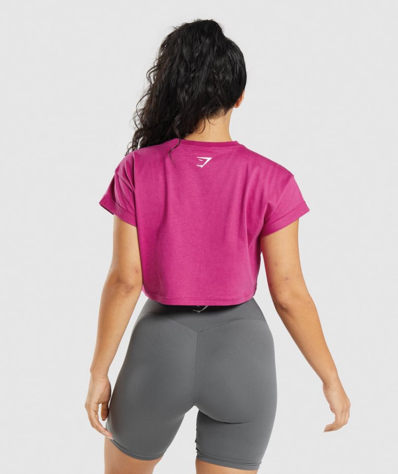 Gymshark Fraction Beskurna Toppar Dam Fuchsia | SE-61025L