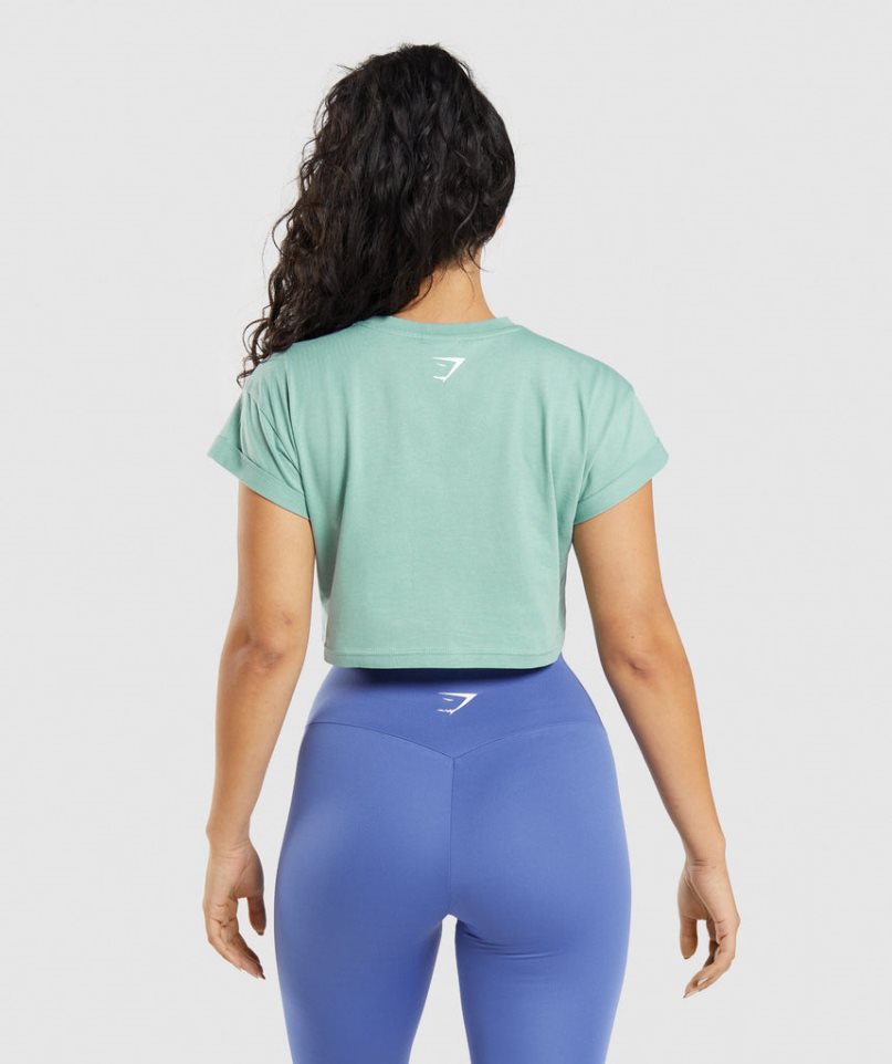 Gymshark Fraction Beskurna Toppar Dam Ljusgröna | SE-82571F