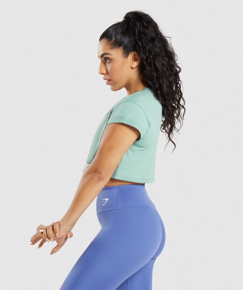 Gymshark Fraction Beskurna Toppar Dam Ljusgröna | SE-82571F