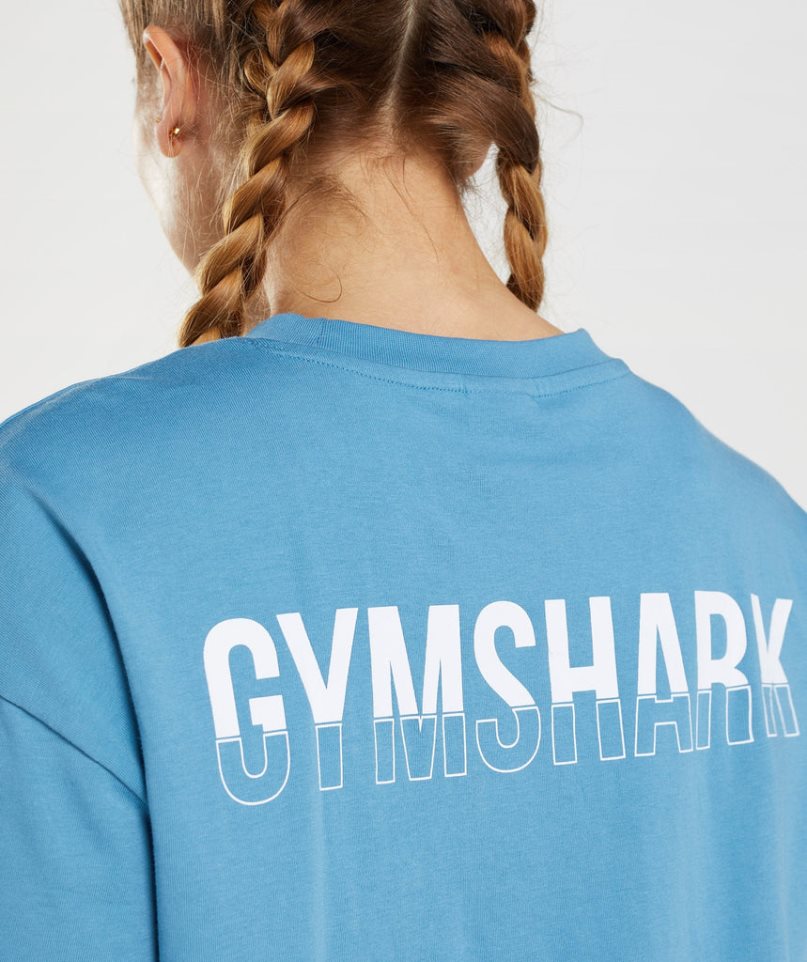 Gymshark Fraction Oversized T-shirt Dam Blå | SE-54867L