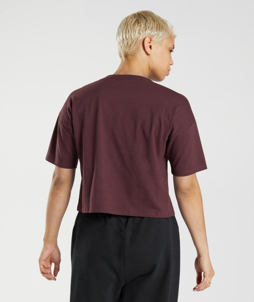 Gymshark GS10 Year Midi Beskurna Toppar Dam Vinröda | SE-76381H