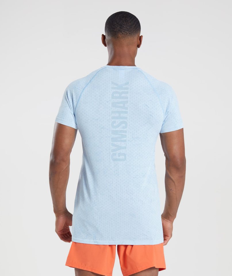 Gymshark Geo Seamless T-shirt Herr Ljusblå | SE-18423E