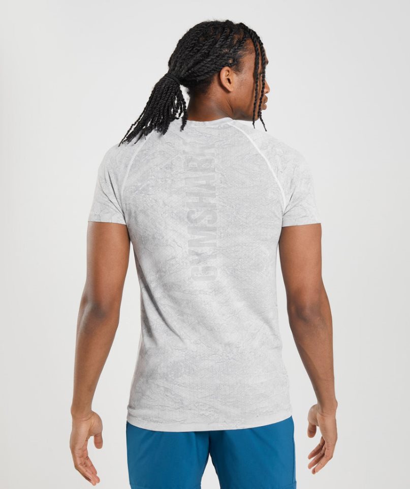 Gymshark Geo Seamless T-shirt Herr Ljusgrå | SE-31876R