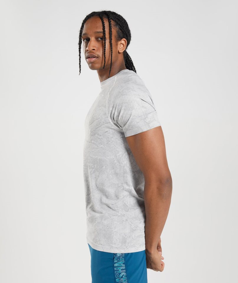 Gymshark Geo Seamless T-shirt Herr Ljusgrå | SE-31876R