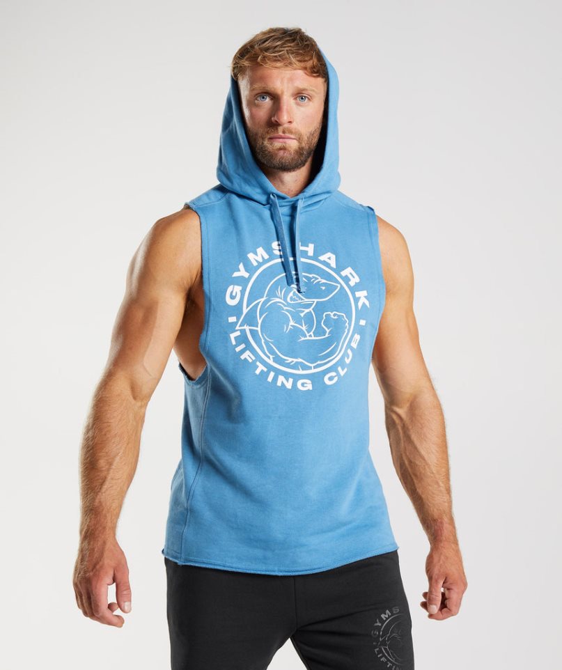 Gymshark Legacy Drop Arm Hoodie Herr Blå | SE-07165C