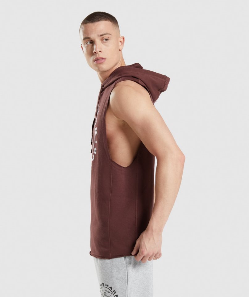 Gymshark Legacy Drop Arm Hoodie Herr Bruna | SE-59410P