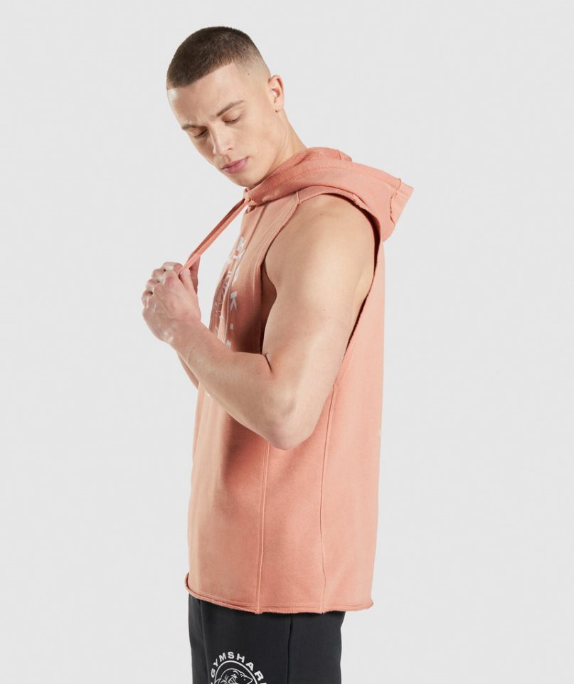 Gymshark Legacy Drop Arm Hoodie Herr Rosa | SE-83152G