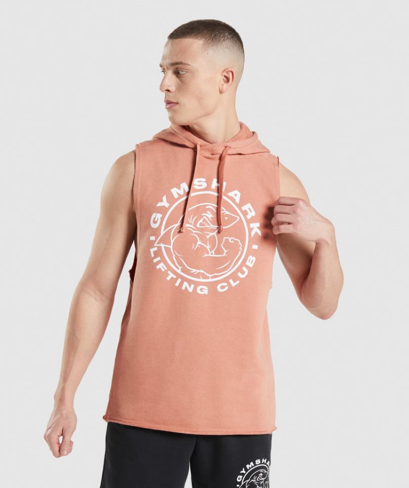 Gymshark Legacy Drop Arm Hoodie Herr Rosa | SE-83152G