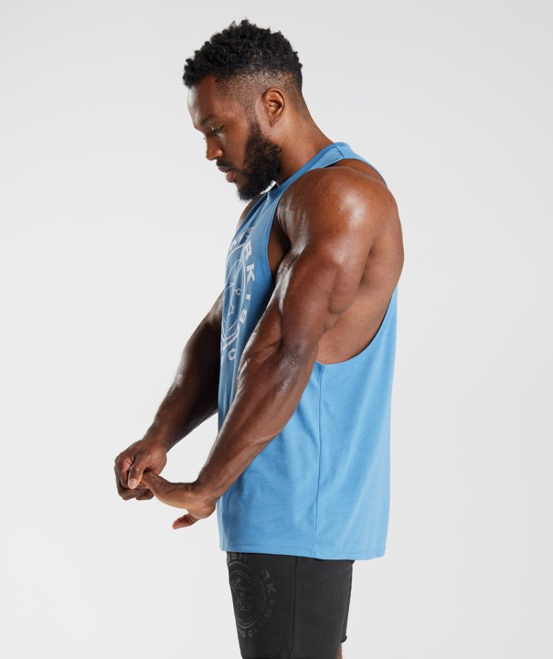 Gymshark Legacy Drop Arm Linnen Herr Blå | SE-46703P