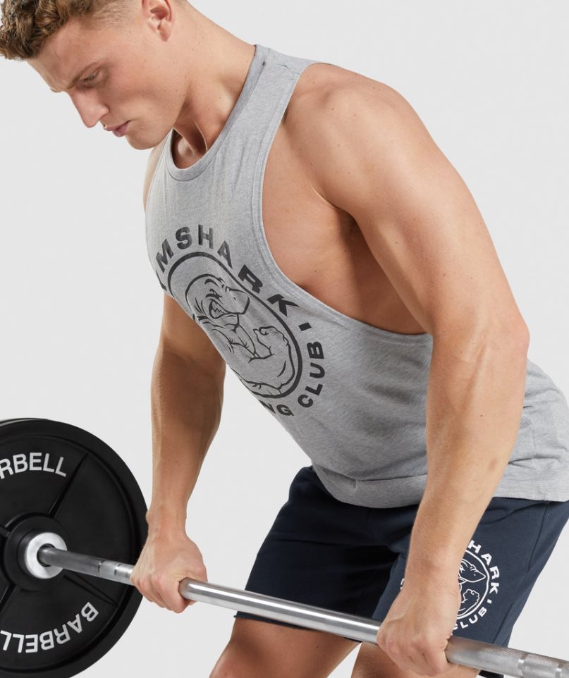 Gymshark Legacy Drop Arm Linnen Herr Ljusgrå | SE-16475J