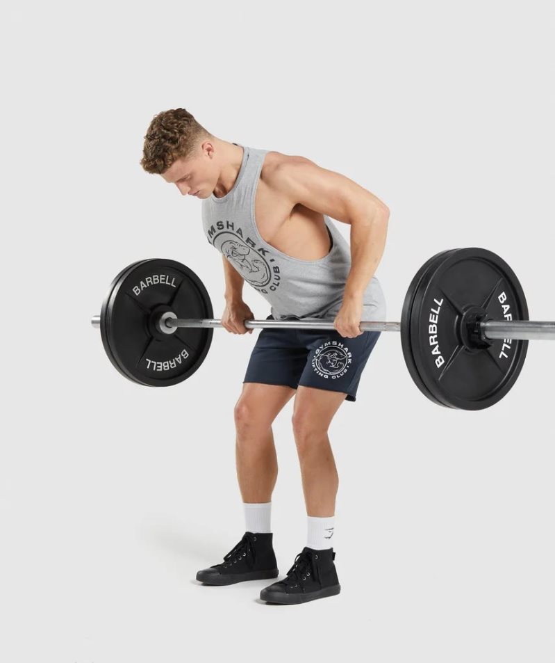 Gymshark Legacy Drop Arm Linnen Herr Ljusgrå | SE-16475J