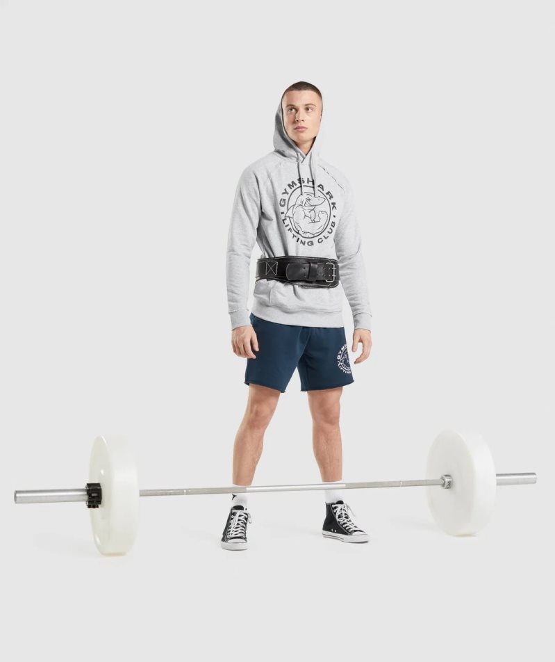 Gymshark Legacy Hoodie Herr Ljusgrå | SE-65439C