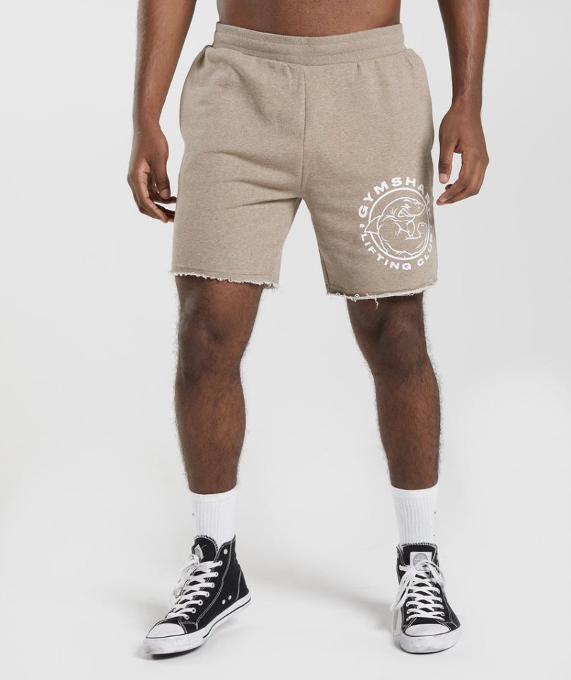 Gymshark Legacy Shorts Herr Khaki | SE-96721B