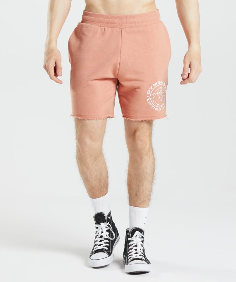 Gymshark Legacy Shorts Herr Rosa | SE-36174W