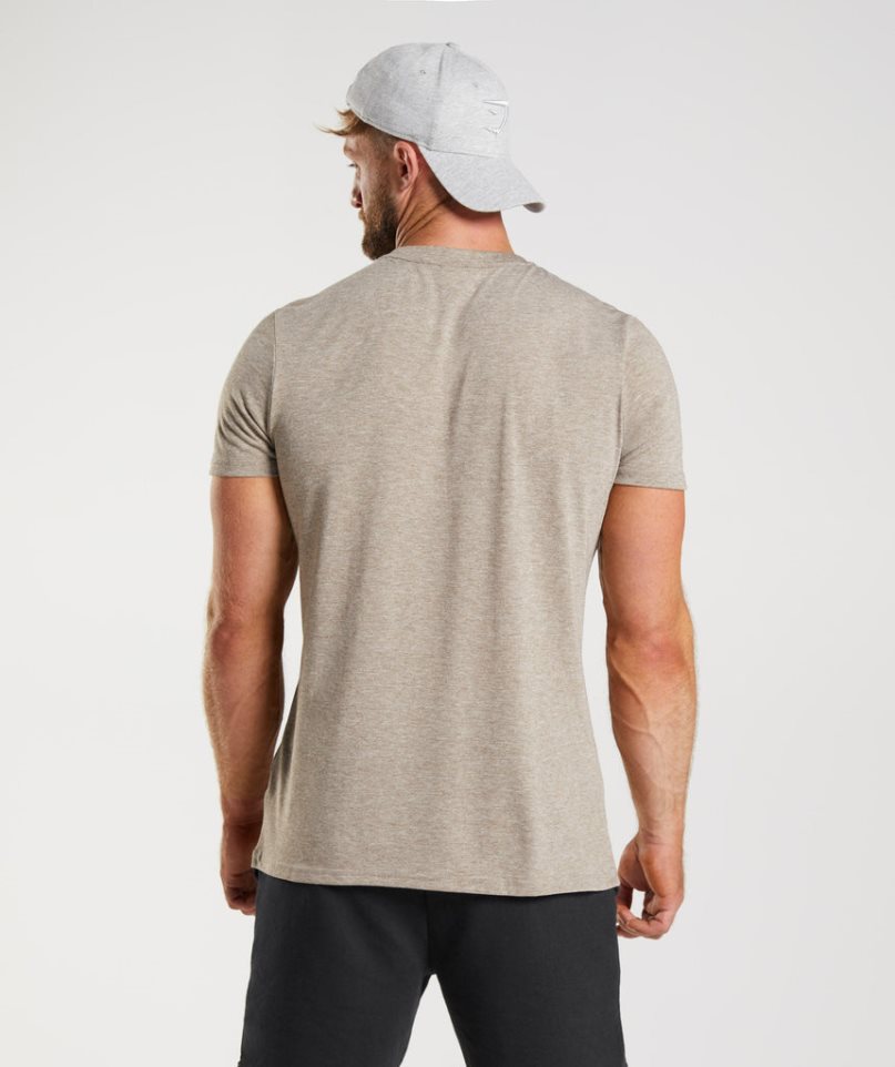 Gymshark Legacy T-shirt Herr Grå | SE-85079L