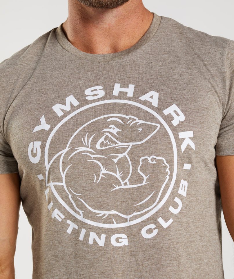 Gymshark Legacy T-shirt Herr Grå | SE-85079L