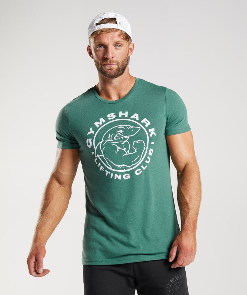 Gymshark Legacy T-shirt Herr Gröna | SE-82501T