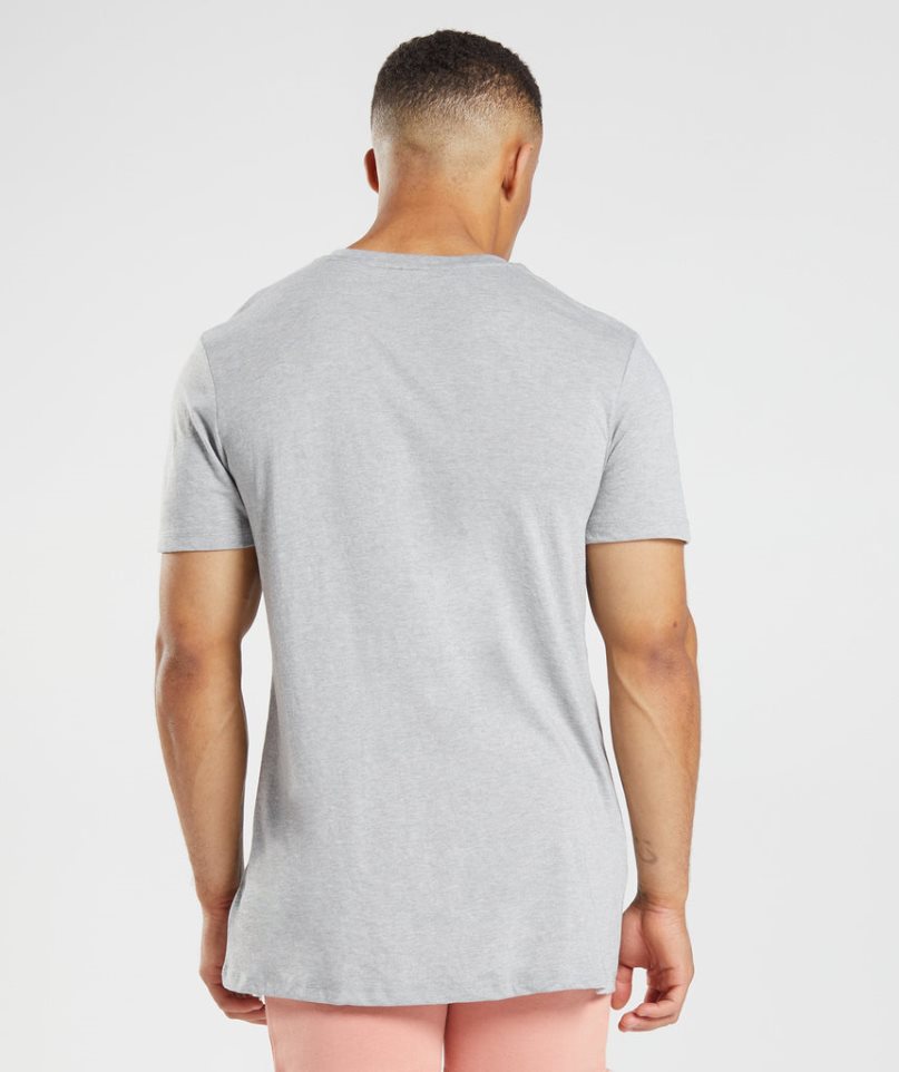 Gymshark Legacy T-shirt Herr Ljusgrå | SE-01394B