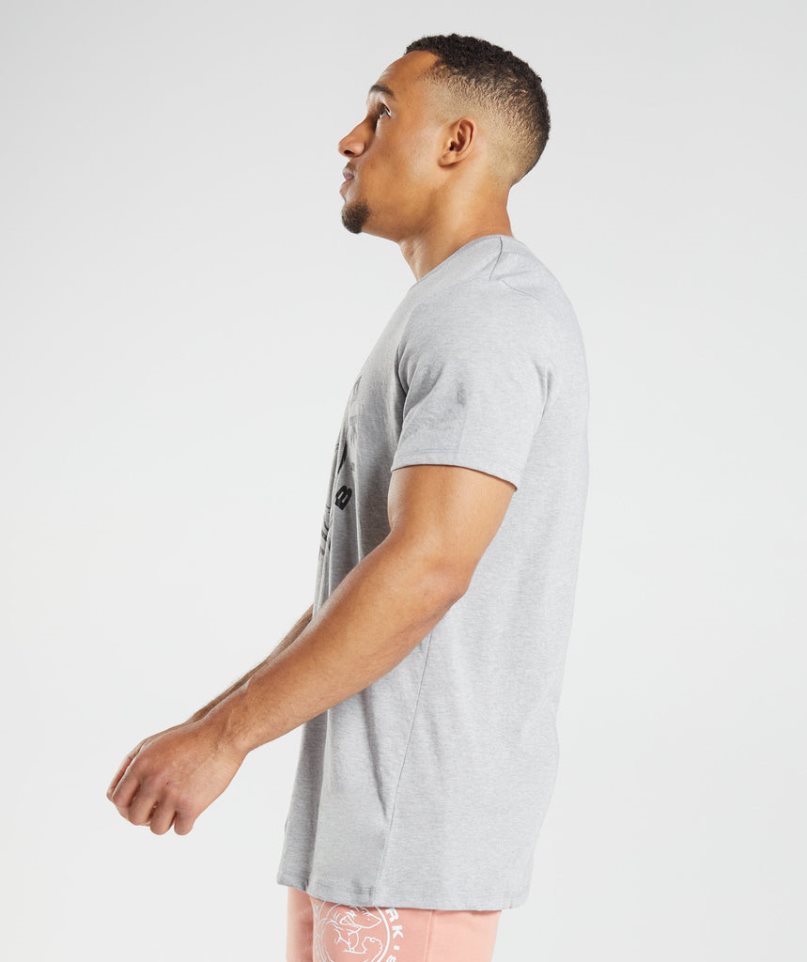 Gymshark Legacy T-shirt Herr Ljusgrå | SE-01394B