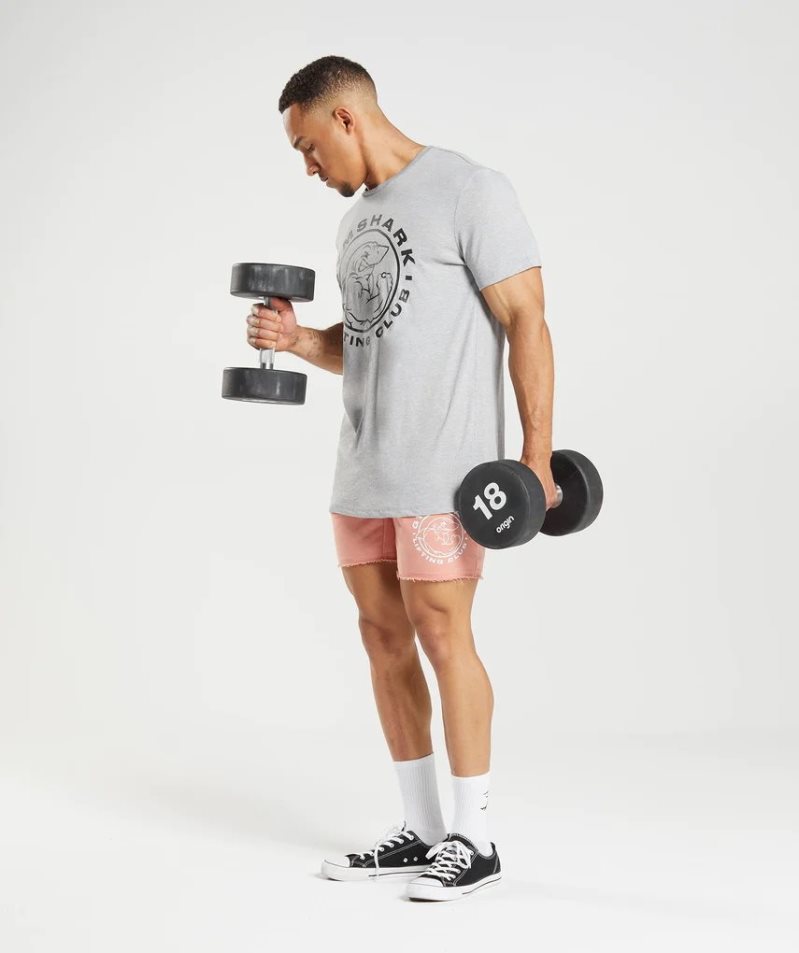 Gymshark Legacy T-shirt Herr Ljusgrå | SE-01394B