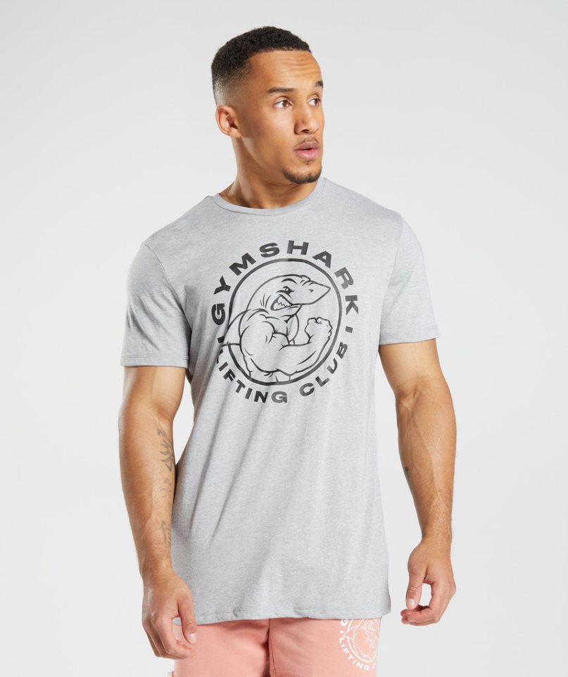 Gymshark Legacy T-shirt Herr Ljusgrå | SE-01394B