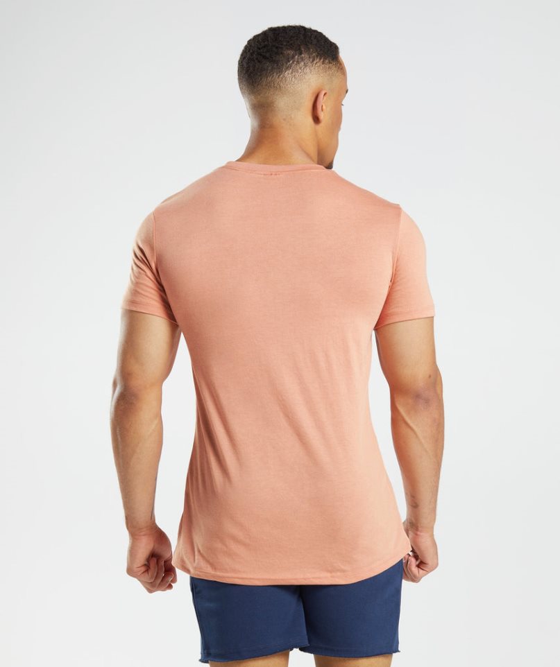 Gymshark Legacy T-shirt Herr Orange | SE-75684J