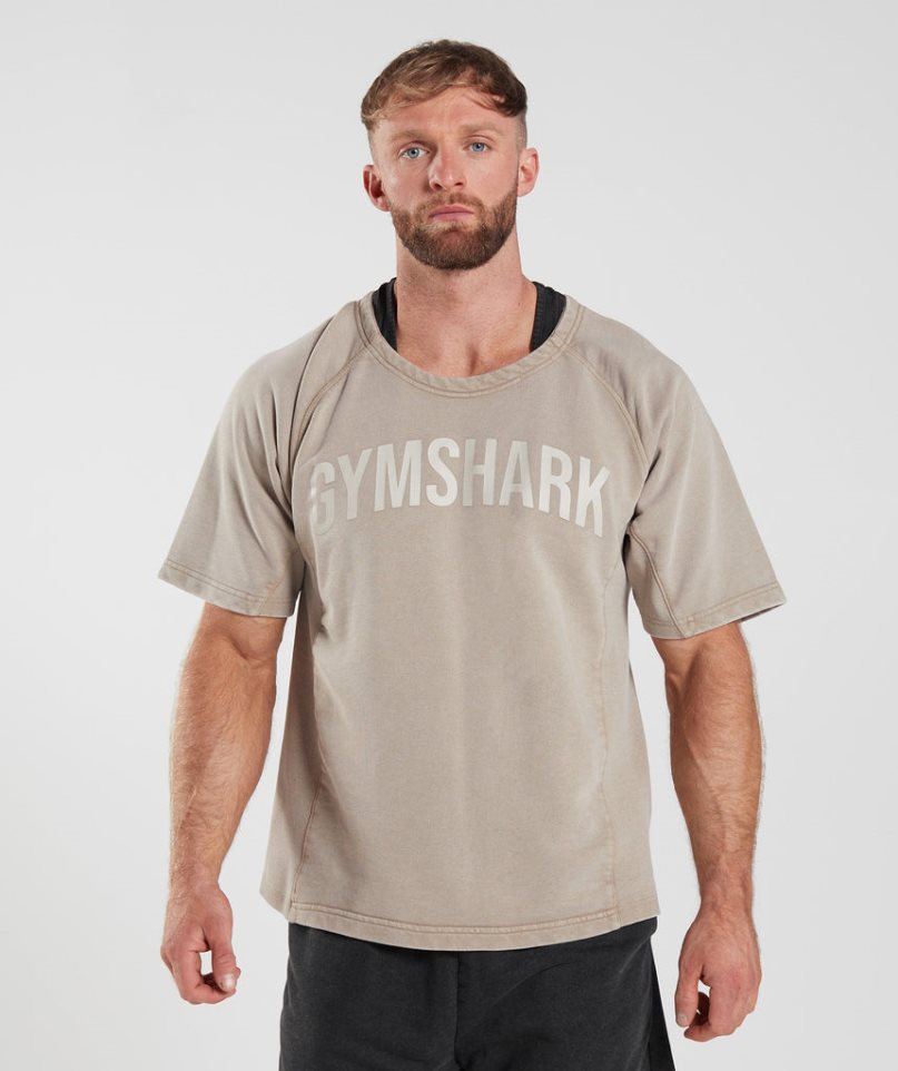 Gymshark Power Washed Rag Top T-shirt Herr Beige | SE-75684N