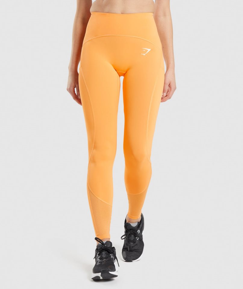 Gymshark Pulse Mesh Leggings Dam Orange | SE-24753S