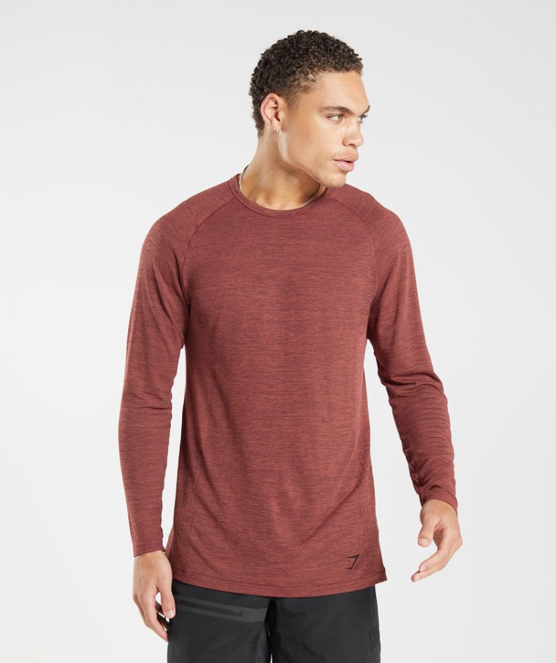 Gymshark Retake Seamless Long Sleeve T-shirt Herr Bruna | SE-39641K