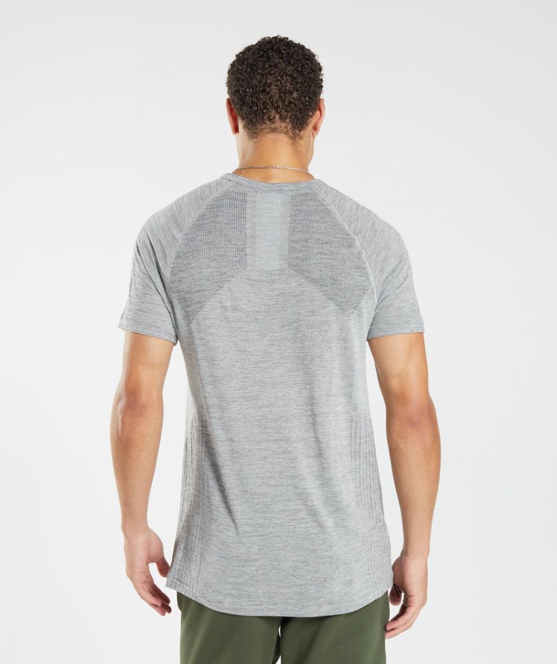 Gymshark Retake Seamless T-shirt Herr Ljusgrå | SE-82350S