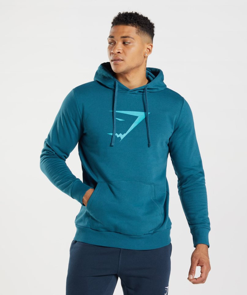 Gymshark Sharkhead Infill Hoodie Herr Blå | SE-25341J