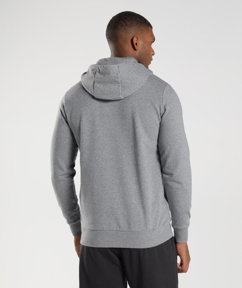 Gymshark Sharkhead Infill Hoodie Herr Grå | SE-37850H