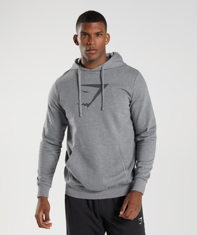 Gymshark Sharkhead Infill Hoodie Herr Grå | SE-37850H